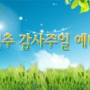 ppt 배경그림 128 (맥추.추수감사절) 이미지