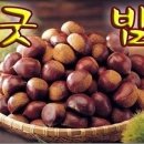 돼지먹는날 - 경주시 봉황로 97 | 돼지먹는날