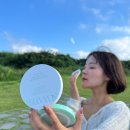 톤업쿠션 추천 다크닝 없는 노워터 티트리 데이데이 톤업 선쿠션