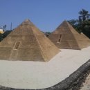 토종흑염소 이미지