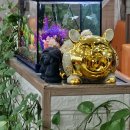 아리랑다방 이미지