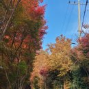 멍또와 | 부산 기장 &#34;멍또와&#34; 애견 운동장