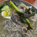 강원도막국수 | 수원역 맛집 막국수 데이트 코스로 좋은 시원한 물막국수집