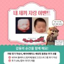 반반베이비