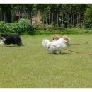 내방동물병원 이미지