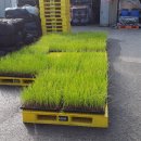 현대농자재마트 이미지