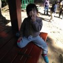 행복한 숲 어린이집 이미지