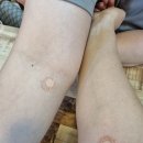 서울명진내과의원 이미지