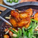 금강민물장어 이미지