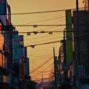 해안주유소 이미지