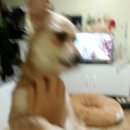 모카세탁소 이미지