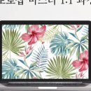 엠엔뷔알스튜디오