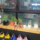 동구-1 | 대전동구필라테스 1인 전문 레슨 후기