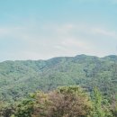 캠핑하우스 | 계곡과 영동이 만나 시원한 비발디캠핑파크 설악오색점, 캠핑하우스 반려견 동반 이용 후기, 명당 추천