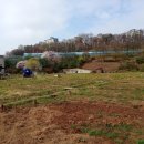 흥덕농장 이미지