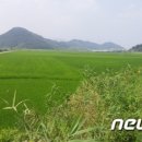 신농친환경비료 네이버블로그