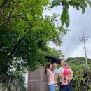 말깡거리 이미지