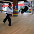 용인대태권스쿨 이미지