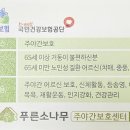 푸른소나무주야간보호센터부천