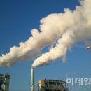 일등종합가스 이데일리