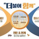 에프앤티컨설팅 이미지