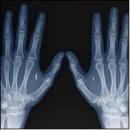 신세계 질서 세계 3대 음모세력 이미지