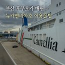 뉴대한여행사 | 부산에서 후쿠오카 배편 가격 뉴카멜리아호 예약 방법