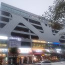 해늘참치