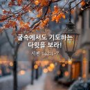 다윗 CO. 이미지