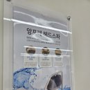 앙포레모리노헤어금암점