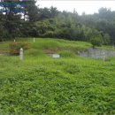 사봉면-2 이미지