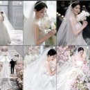 묘해 | W5. [본식스냅/DVD] 묘해스냅/모먼트무브 계약 후기 (+추천인코드)