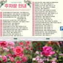 타워애드컴퍼니
