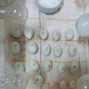 홍가네농장 이미지