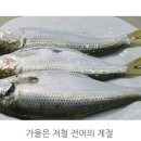 갯마을 진도집 이미지