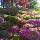 원삼면작은도서관 이미지