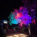 킹스푸드 | 킹스파크 Lightscape 후기!
