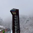 황골탐방지원센터 | 설경 🏔️원주 치악산 등산코스 | 황골탐방지원센터 출발 비로봉 부곡탐방 하산 블랙야크100대명산 인증