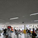 백인 합기도 이미지