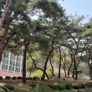 행복한 노후 준비하기 이미지