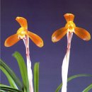 (주)금화 이미지