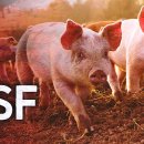 명심축산 이미지