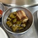 용마루 | [내돈내산] 공덕맛집 노포스타일 용마루굴다리껍데기 솔직후기