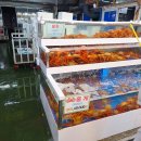 중앙수산 이미지