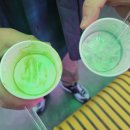 당당이 애견 이미지