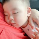 선산동물병원 | 2025년 8월 일상