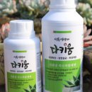 친환경 식물키움