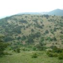 오름이야기 이미지