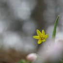 예당낚시터 이미지