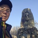 맹종죽테마공원 이미지